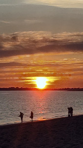 IMG_20240714_214935~2.jpg