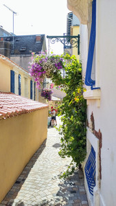 IMG_20240718_175201~2.jpg