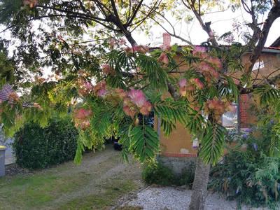 IMG_20240718_203304.jpg