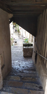 IMG_20240720_150052.jpg