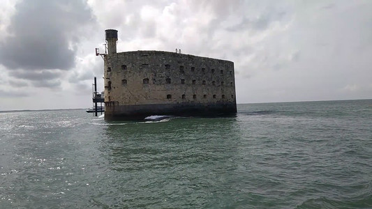 VID_20240716_164235.mp4